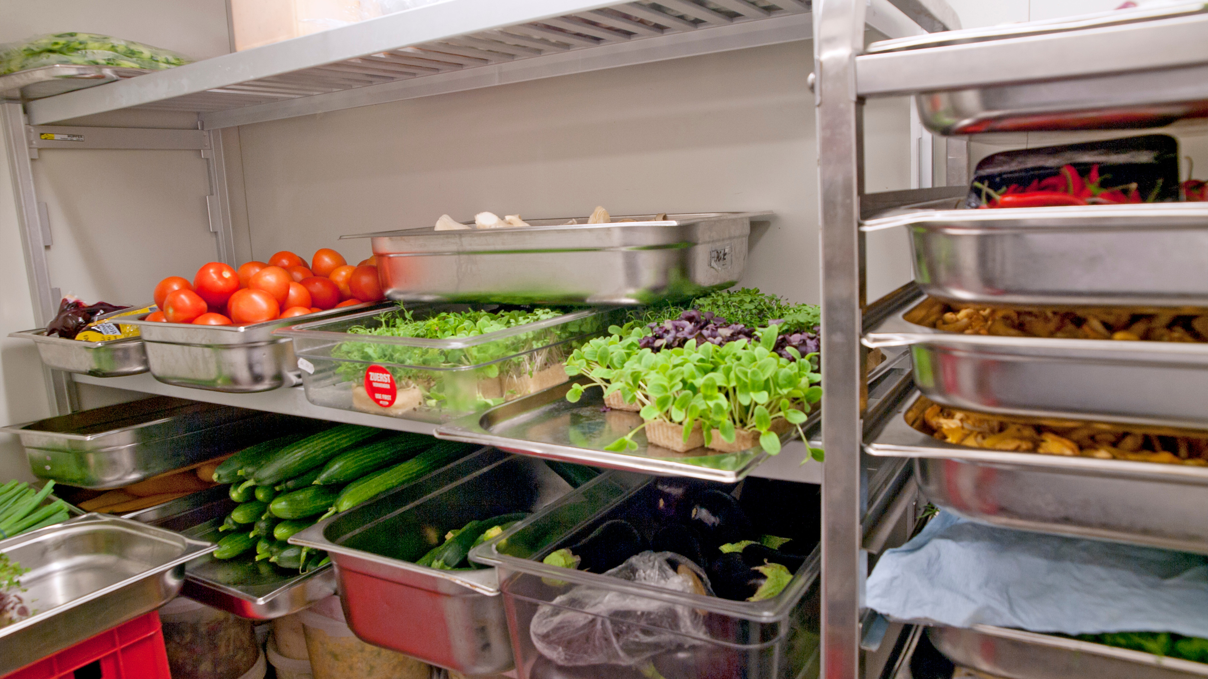 Common Indications Your Walk-In Freezer May Need Repair