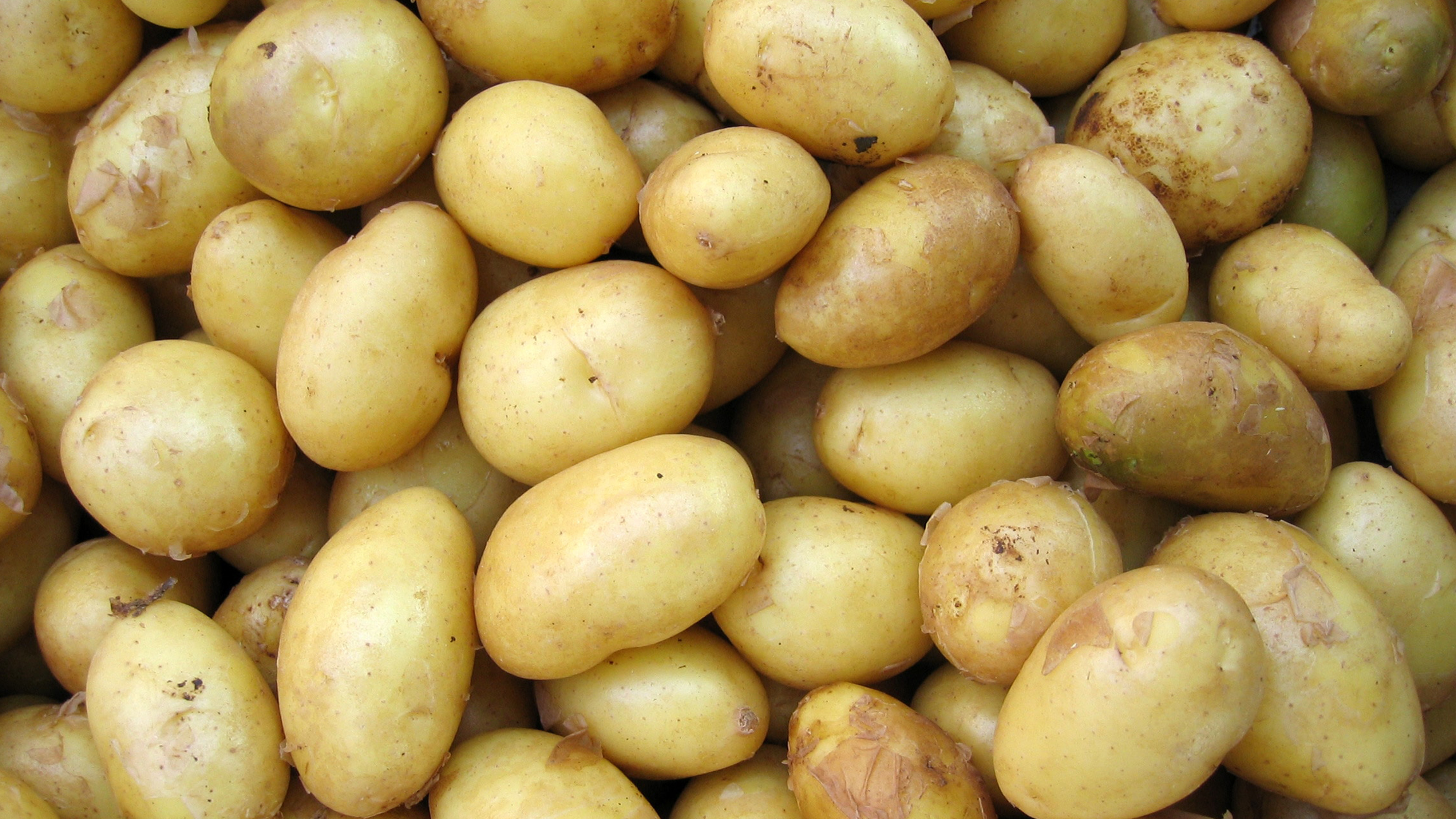 Top Five Components of Successful Potato Storage