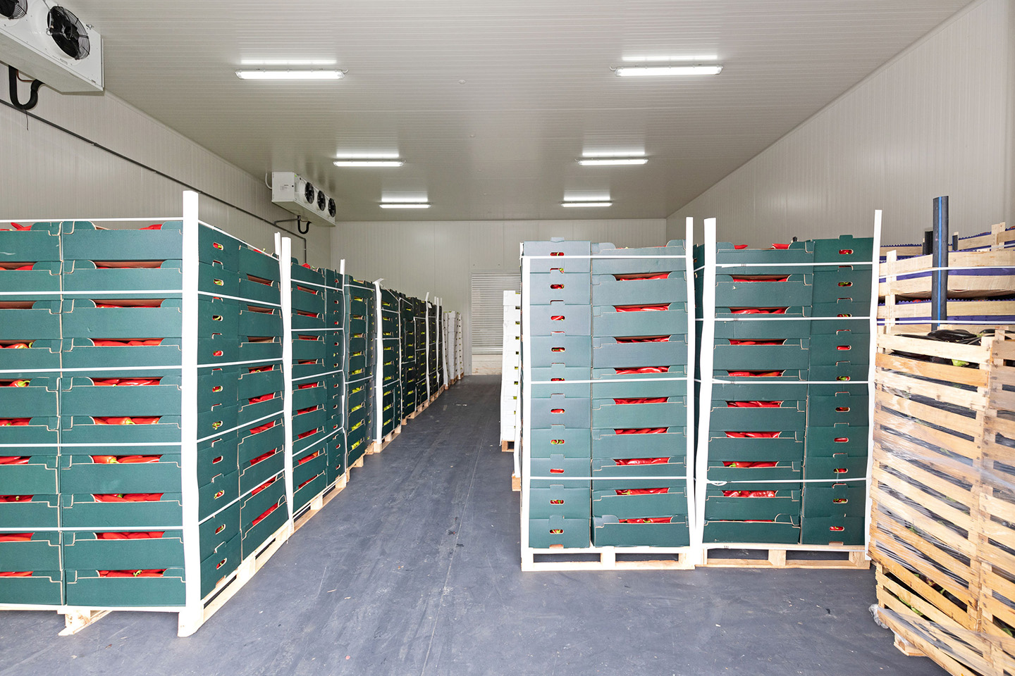 RMS Pros specializes in agriculture storage solutions including hydrocoolers, controlled atmospheres, and refrigeration systems to keep produce fresh and maximize shelf life for commercial operations.