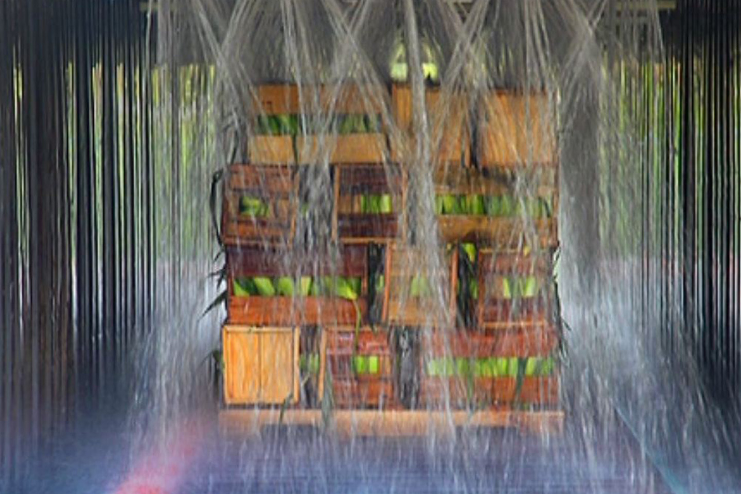 RMS Pros specializes in agriculture storage solutions including hydrocoolers, controlled atmospheres, and refrigeration systems to keep produce fresh and maximize shelf life for commercial operations.